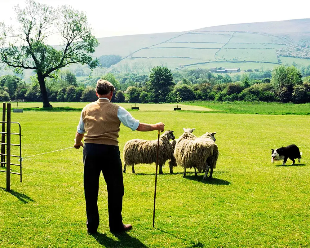 Transfer Tour Glasgow